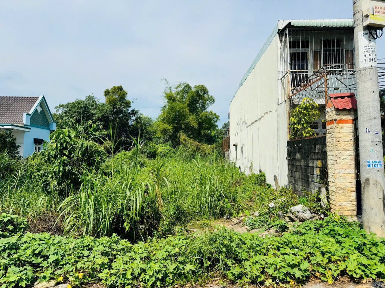 Bán đất mặt tiền đường nhựa xã Tân Thạnh Đông, Củ Chi dt 227m2 có 100m2 thổ giá 2,7 tỷ 4