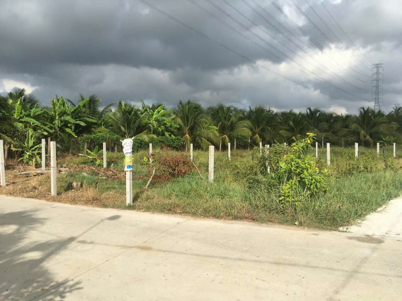 Bán đất thổ cư xã Nhựt Chánh , Bến Lức dt 224m2 , đường beton 3,5m oto giá 1,55 tỷ 3