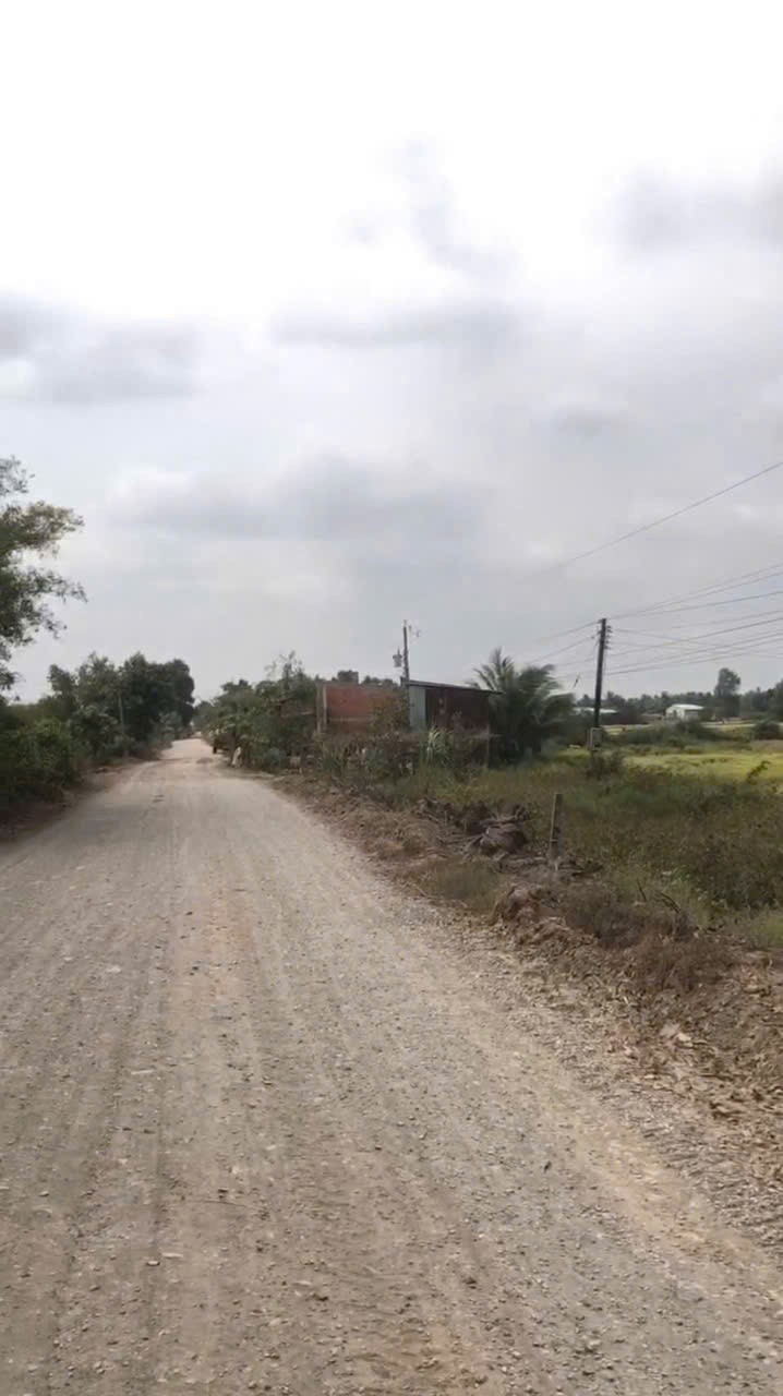 Bán đất lúa mặt tiền tỉnh lộ 820, xã Tân Phú , Đức Hòa giá giảm còn 5,5 tỷ 3