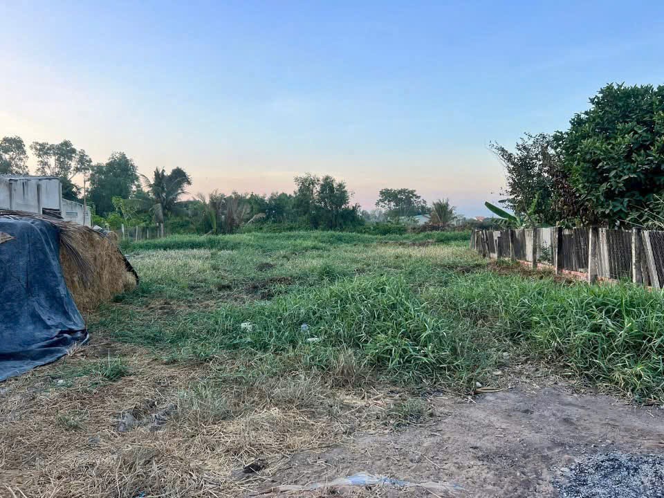 Bán đất thổ cư ấp 8 , xã Nhựt Chánh, Bến Lức dt 980m2 , đường beton xe 7c giá 3,3 tỷ 2