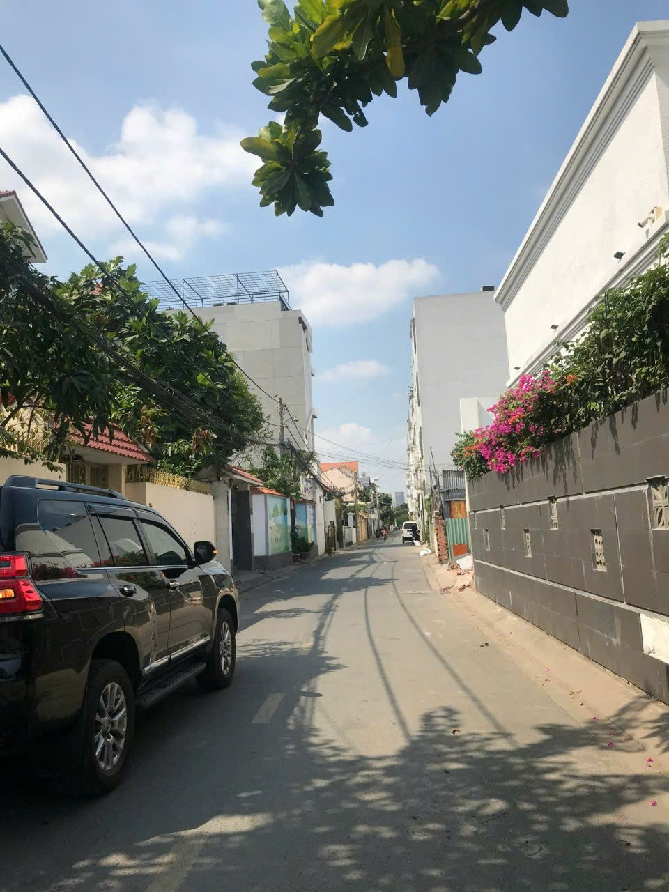 Cần bán Đất Phường Bình An, Quận 2, Diện tích 320m², Giá 055 Tỷ 2