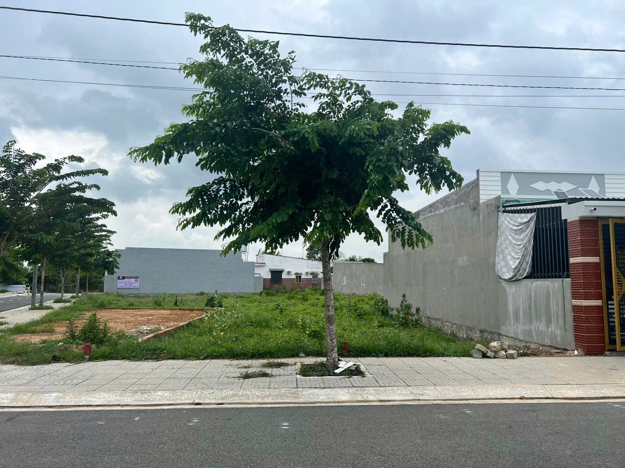 Nắm chủ bán gấp lô đất Phước Hải - Vũng Tàu từ 800tr, mặt nhựa tim vàng 3