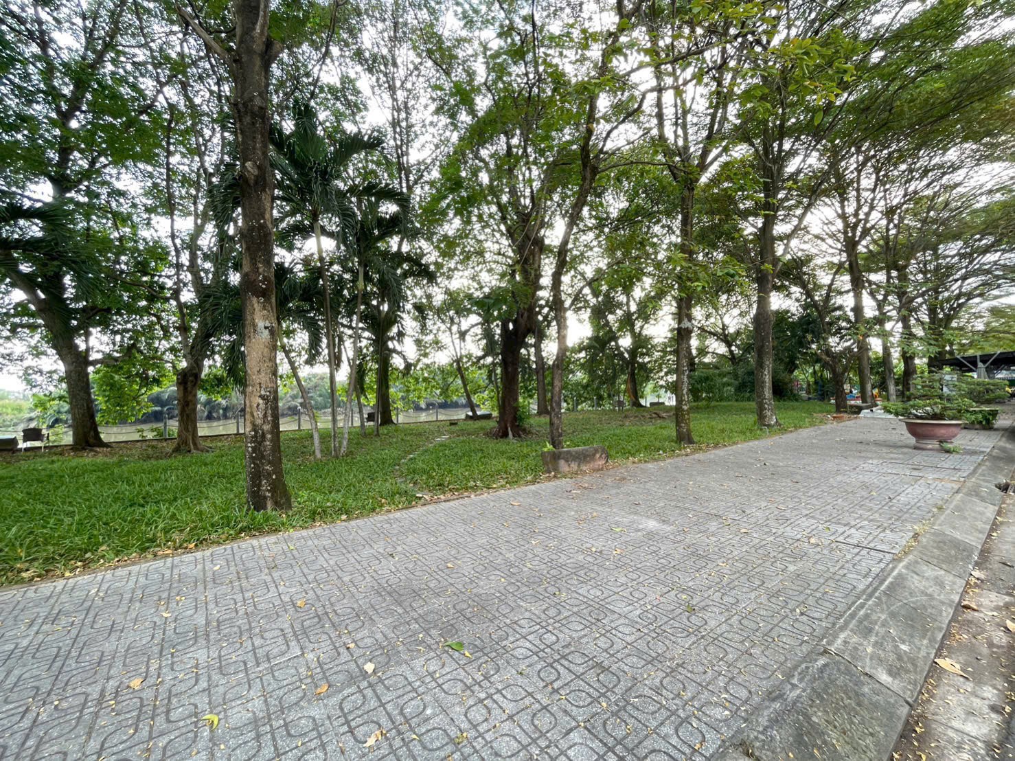 Cần bán Đất Phường Phước Long B, Quận 9, Diện tích 300m², Giá 039 Tỷ 6