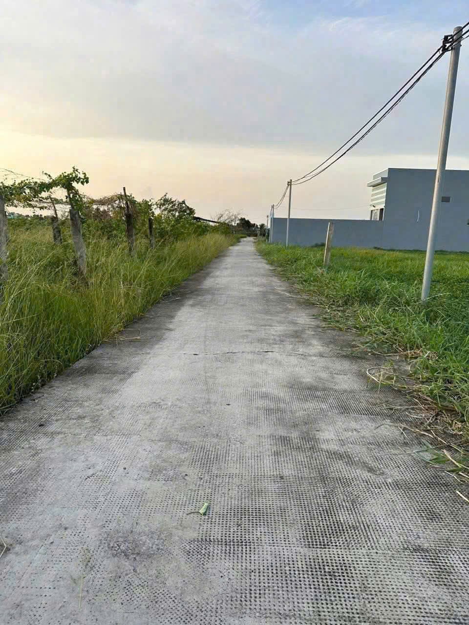 Bán đất xã Lạc Tấn , Tân Trụ tdt 1960m2 ( có 200m2 thổ) đường beton, có tường rào giá 2,2 tỷ