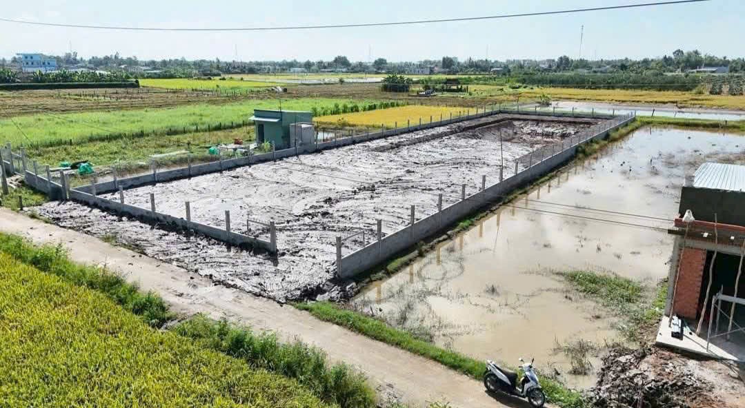 Bán đất xã Lạc Tấn , Tân Trụ tdt 1960m2 ( có 200m2 thổ) đường beton, có tường rào giá 2,2 tỷ 3