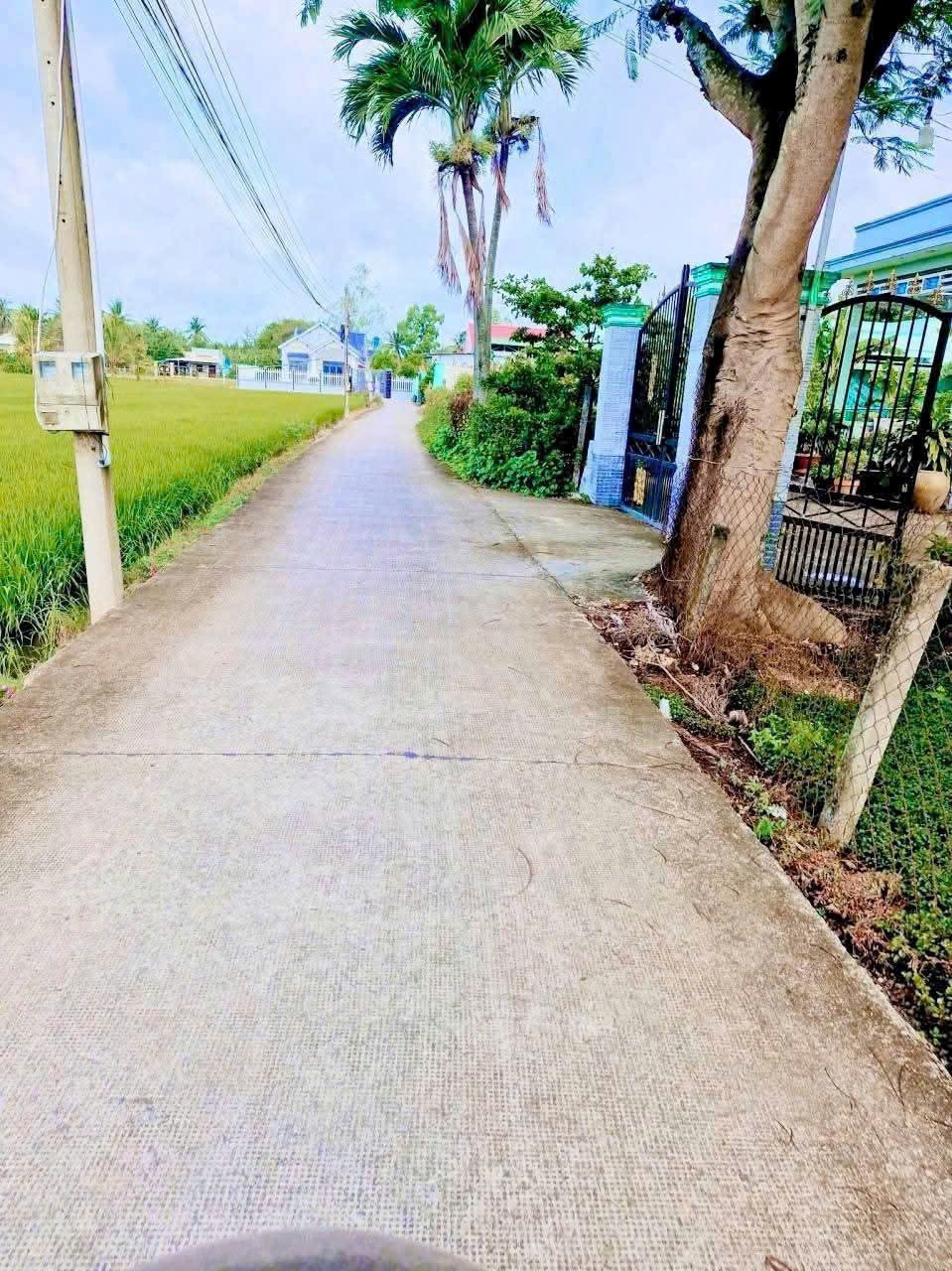 Bán 2 lô đất thổ cư ấp 8, xã Nhựt Chánh, Bến Lức dt 125,8m2 ( 500 triệu ) + 134,2m2 ( 550 triệu) 2