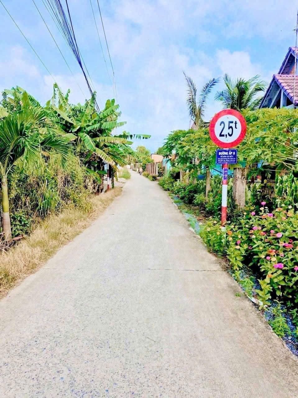 Bán 2 lô đất thổ cư ấp 8, xã Nhựt Chánh, Bến Lức dt 125,8m2 ( 500 triệu ) + 134,2m2 ( 550 triệu) 3