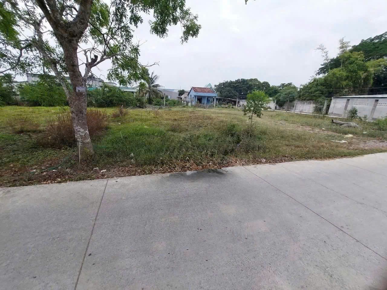 Bán nền thổ cư mt đường beton ấp 3B xã Phước Lợi , Bến Lức dt 170m2 giá 1,55 tỷ 3