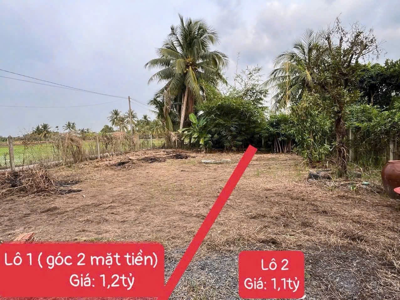 Bán lô đất thổ cư đường beton 4m xã An Thạnh , Bến Lức tdt 302m2 giá  2,3 tỷ