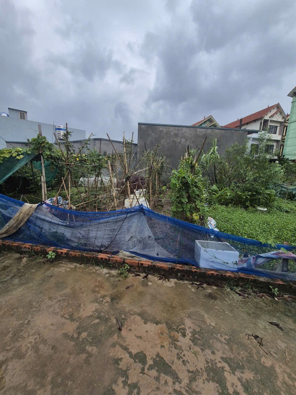 Bán lô đất nhỏ xinh, thôn Trung Hậu Đông, Tiền Phong, Mê Linh. Gần trường DH Tài Chính 2