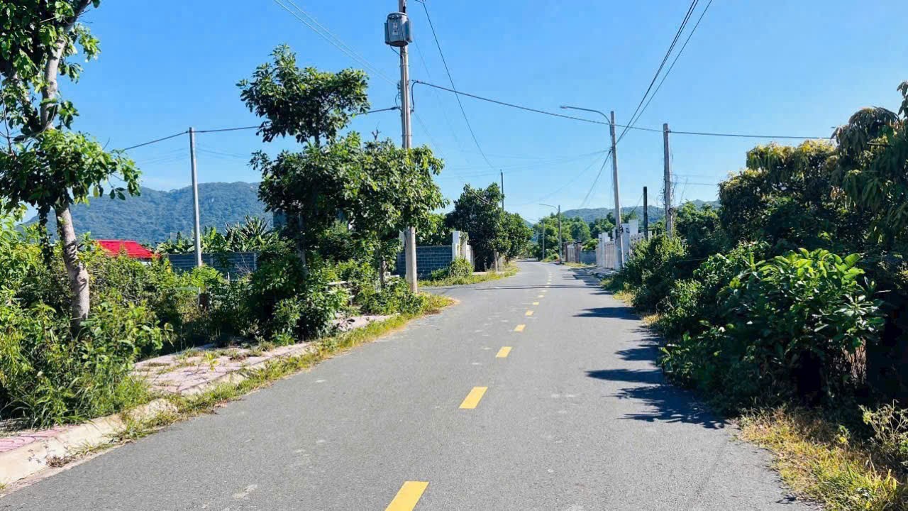 BÁN GẤP – HÀNG NGỘP VƯỜN XOÀI PHƯỚC HẢI, GẦN BIỂN 2