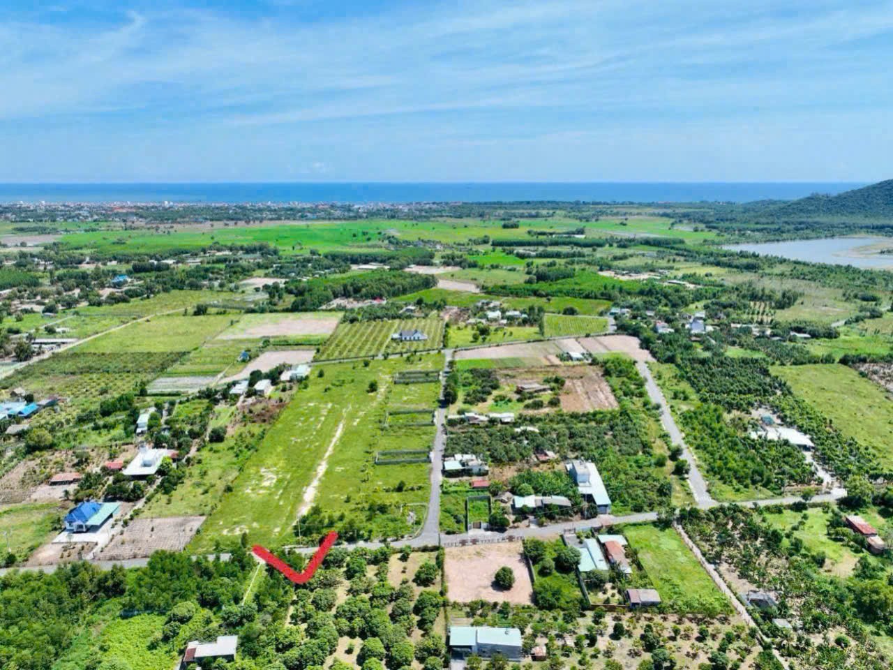 BÁN GẤP – HÀNG NGỘP VƯỜN XOÀI PHƯỚC HẢI, GẦN BIỂN 3