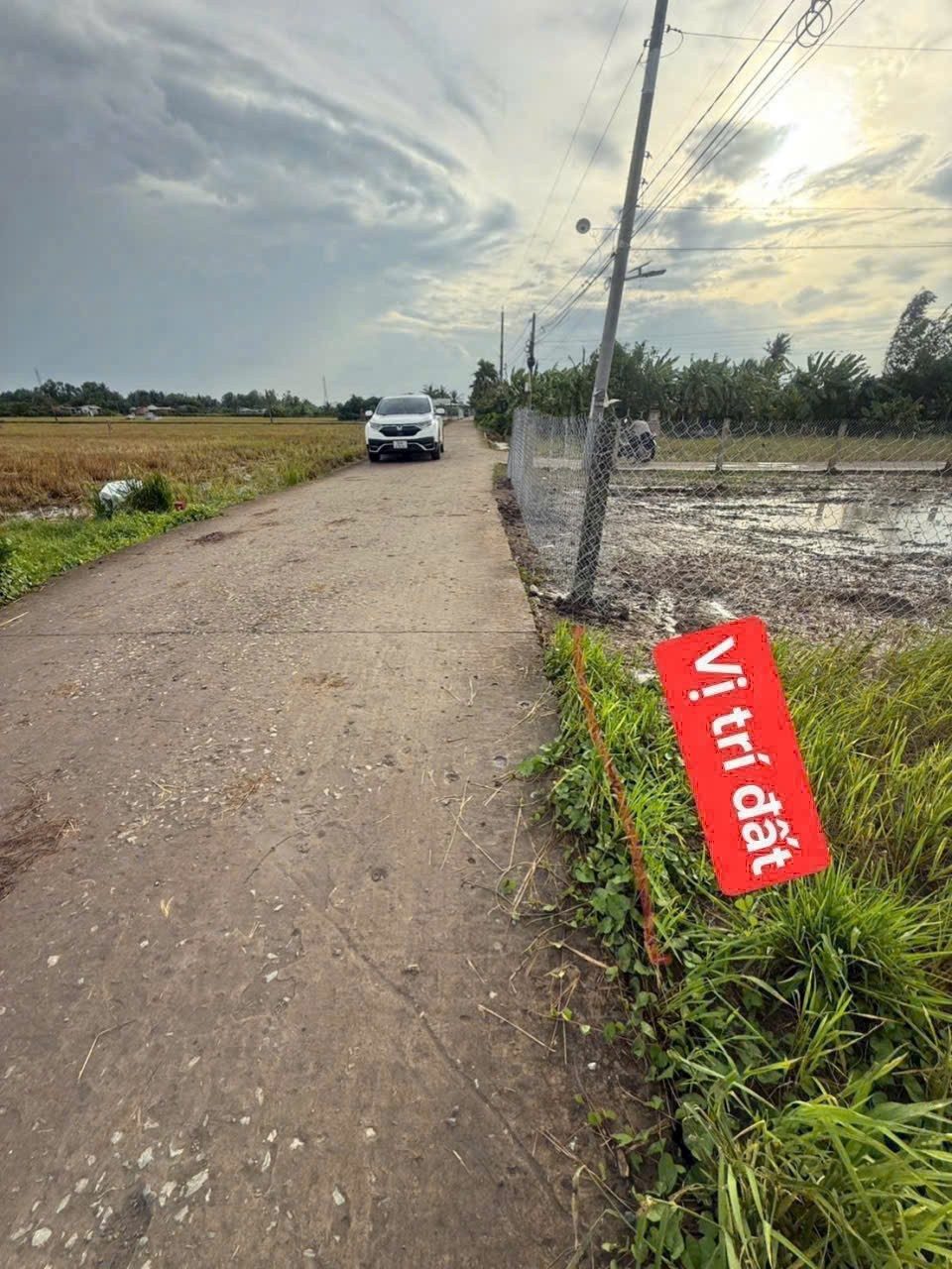 Bán đất thổ cư mặt tiền Nguyễn Văn Thọ , xã Lạc Tấn , Tân Trụ dt 120m2 giá giảm còn 550 triệu 3