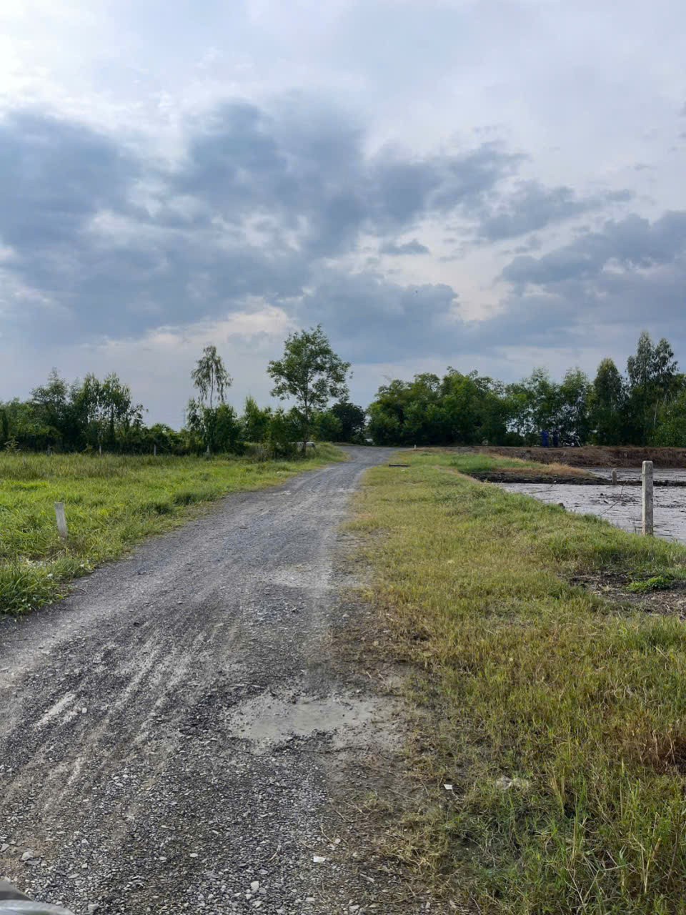 Bán 2 lô thổ cư đường xe oto sau chợ Hòa Khánh Nam, Đức Hòa dt 195m2 giá 800 triệu /1 lô