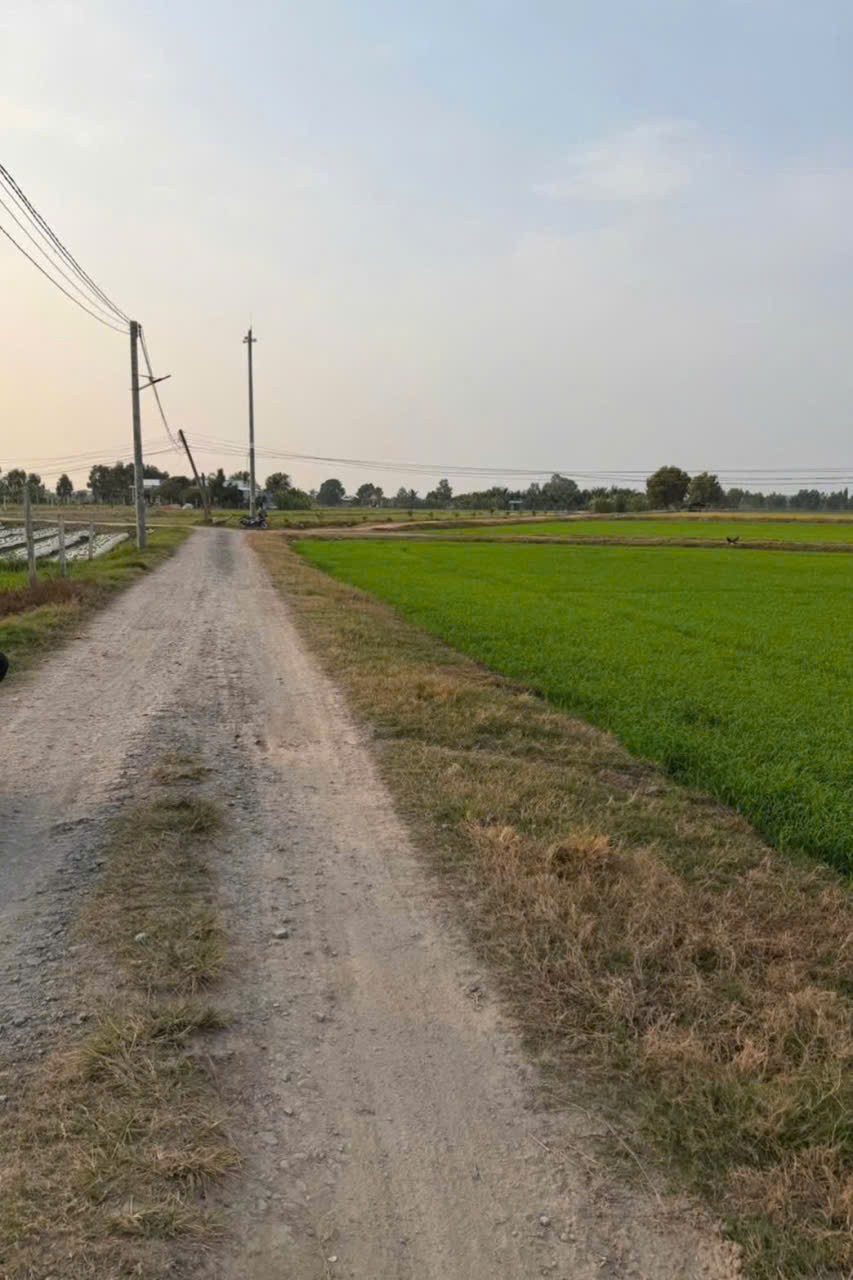 Bán đất thổ cư đường đá xanh ở xã Bình Hòa Bắc , Đức Huệ dt 800m2 giá 1,35 tỷ 2