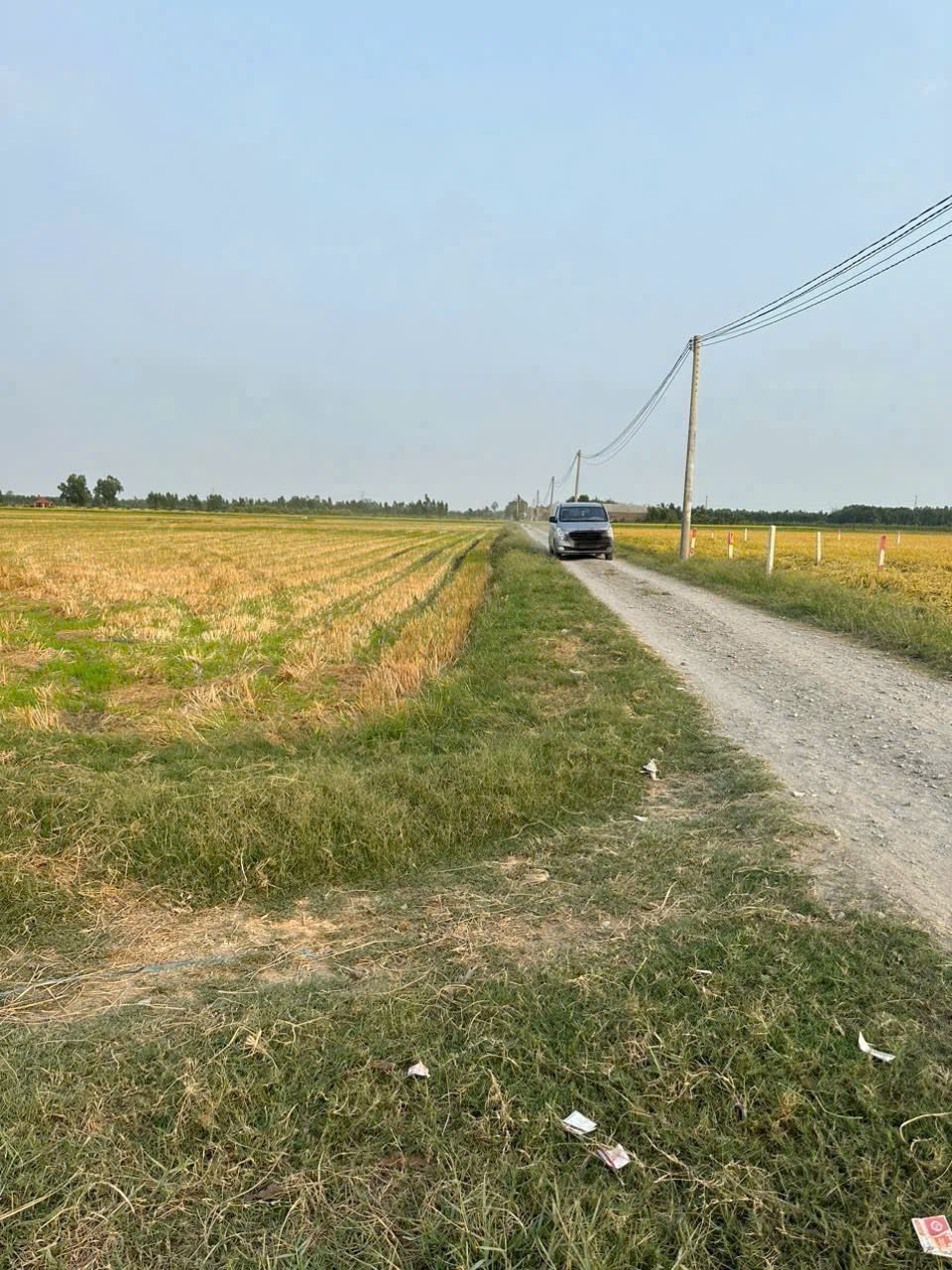 Bán đất thổ cư đường đá xanh ở xã Bình Hòa Bắc , Đức Huệ dt 800m2 giá 1,35 tỷ 3