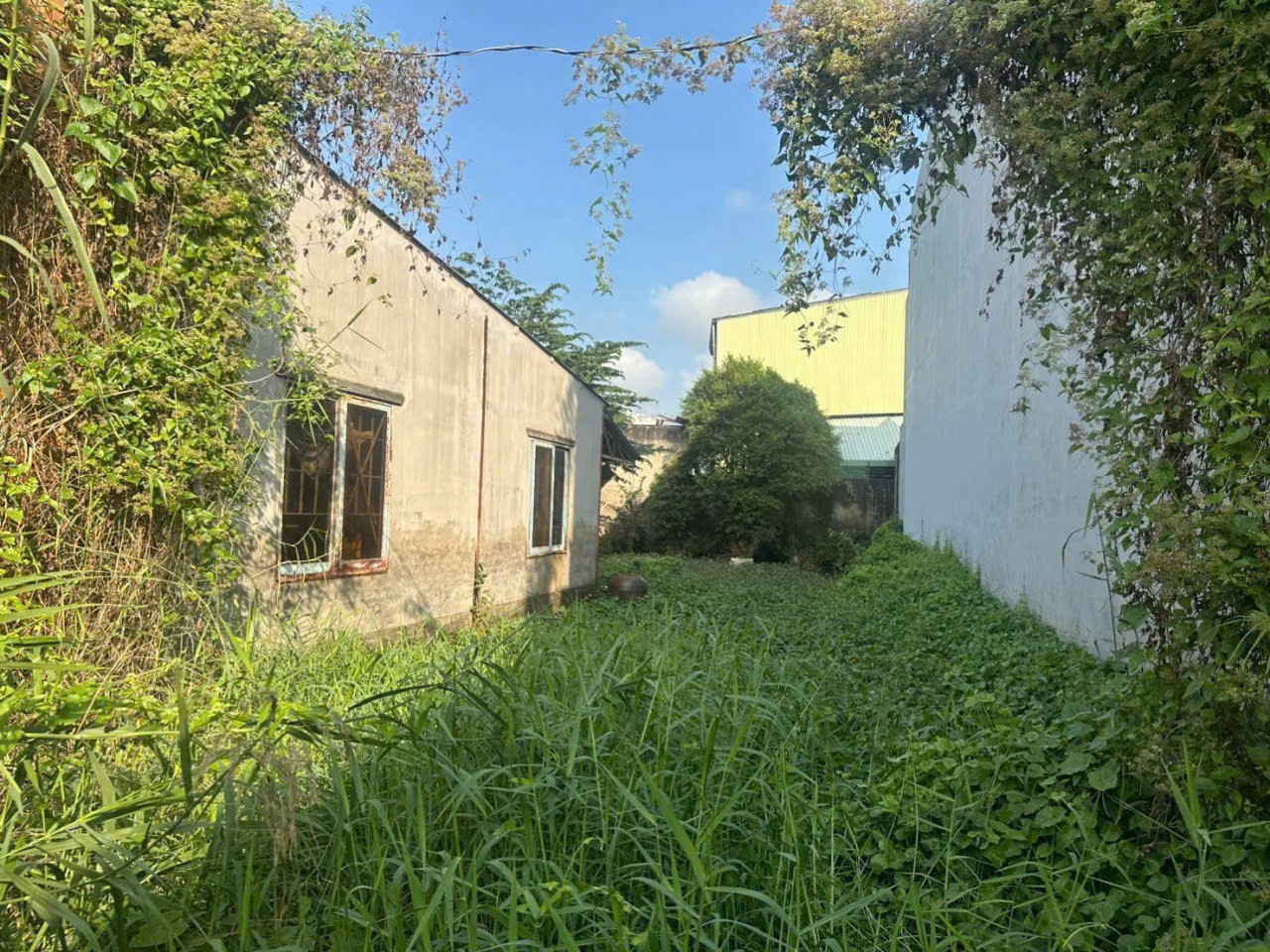 Bán đất thổ cư mặt tiền tỉnh lộ 835D , xã Long Hòa, Cần Đước dt 200m2 giá 2,05 tỷ