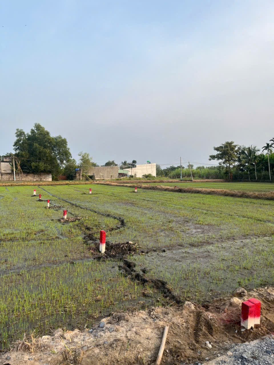 Bán đất thổ cư xã Hòa Khánh Đông , Đức Hòa dt 250m2 giá 1 tỷ 268 triệu 2