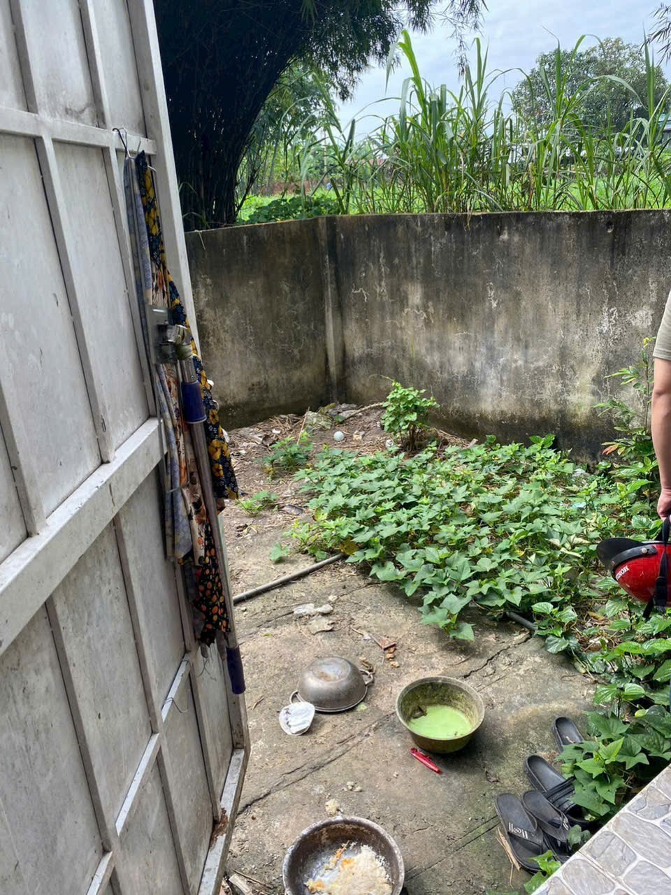 Bán nhà đẹp  xã Tân Thạnh Đông , Cù Chi dt 123m2 full thổ , 1 lửng , 2pn , 2wc giá 2,3 tỷ 4