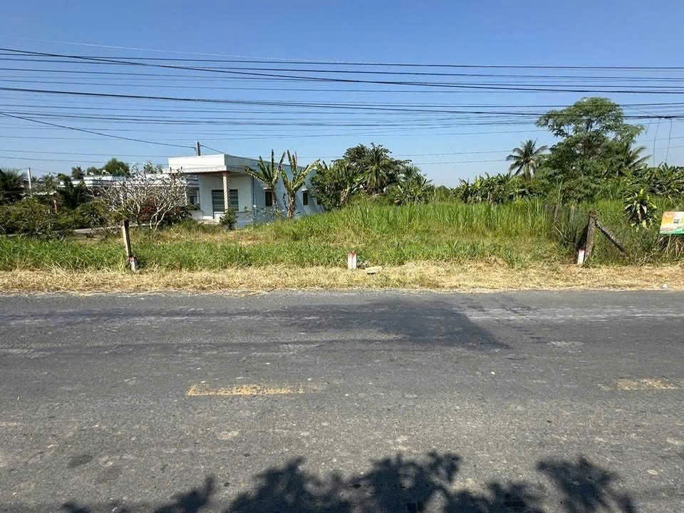 Bán 2 nền thổ cư mt đường Cao Thị Mai , xã Bình Trinh Đông , Tân Trụ ,giá 1,55 tỷ / nền