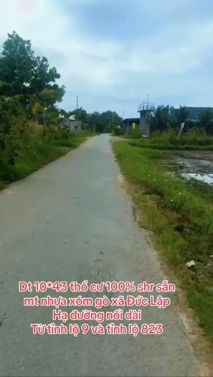 Bán đất thổ cư mt đường Xóm Gò , xã Đức Lập Hạ dt 430m2 giá 2,8 tỷ 3
