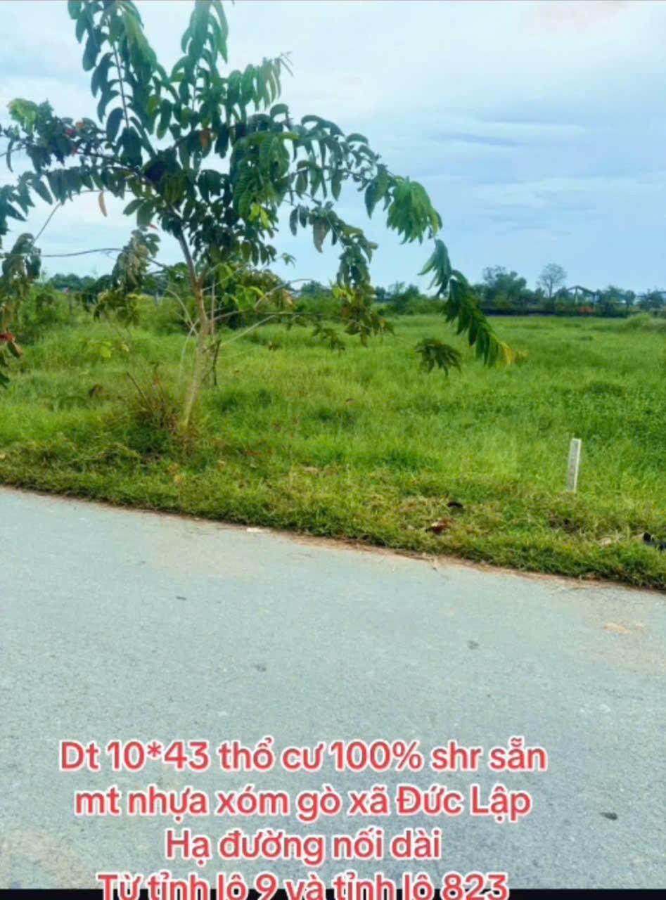 Bán đất thổ cư mt đường Xóm Gò , xã Đức Lập Hạ dt 430m2 giá 2,8 tỷ 4