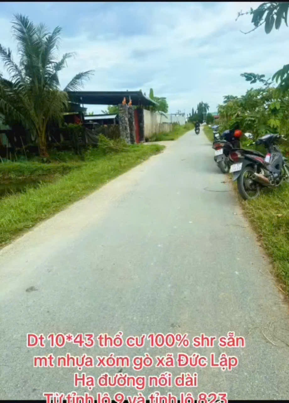 Bán đất thổ cư mt đường Xóm Gò , xã Đức Lập Hạ dt 430m2 giá 2,8 tỷ 5