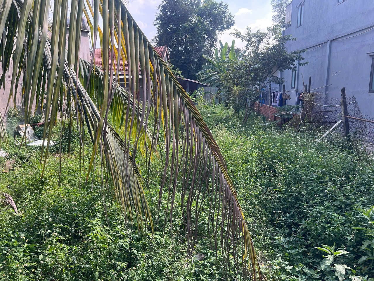 ĐẤT (9X32.5) MẶT TIỀN TÔ KÝ – NGANG 9M HIẾM – GIÁP Q12, KINH DOANH ĐỈNH 5