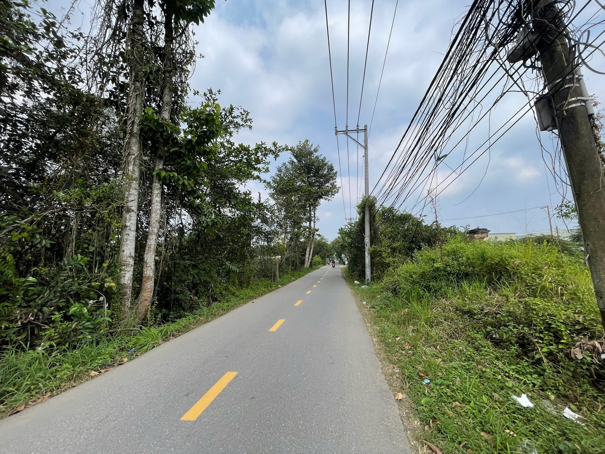 Cần bán Đất Phường Trường Thạnh, Quận 9, Diện tích 2215m², Giá 70 Tỷ 4