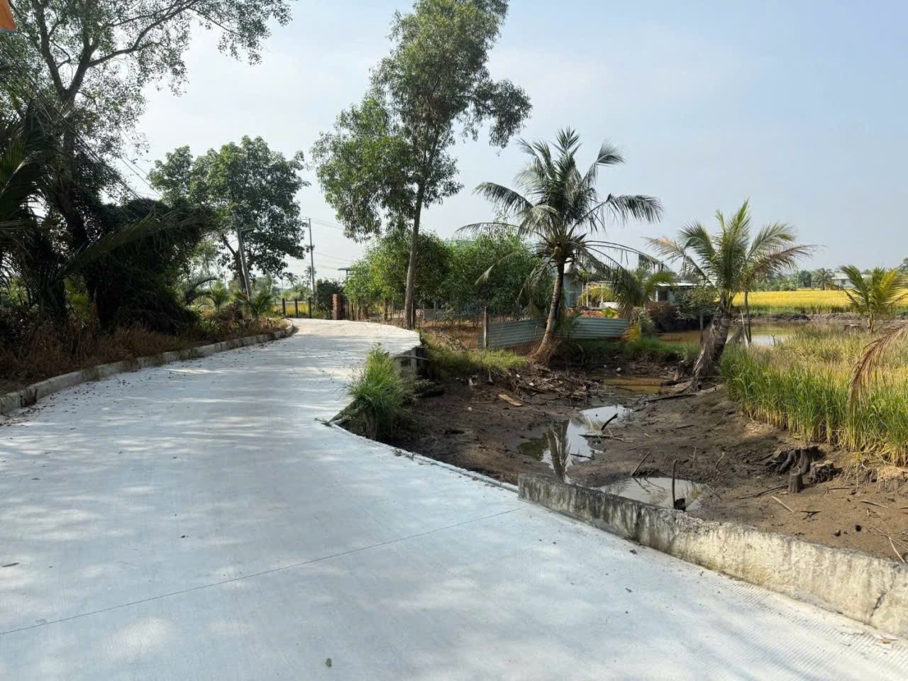 Bán đất vườn xã Tân Bửu , Bến Lức , Long An dt 5000m2 giá 16,5 tỷ