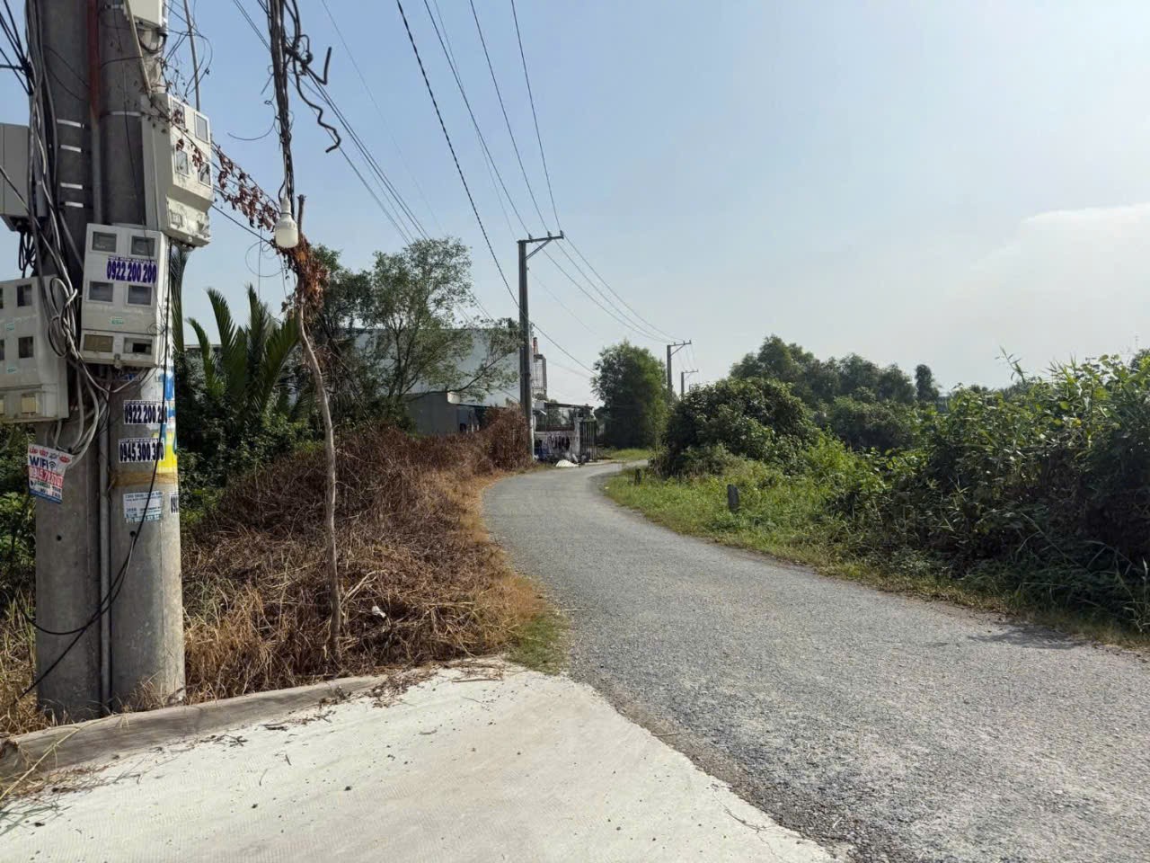 Bán đất vườn xã Tân Bửu , Bến Lức , Long An dt 5000m2 giá 16,5 tỷ 2