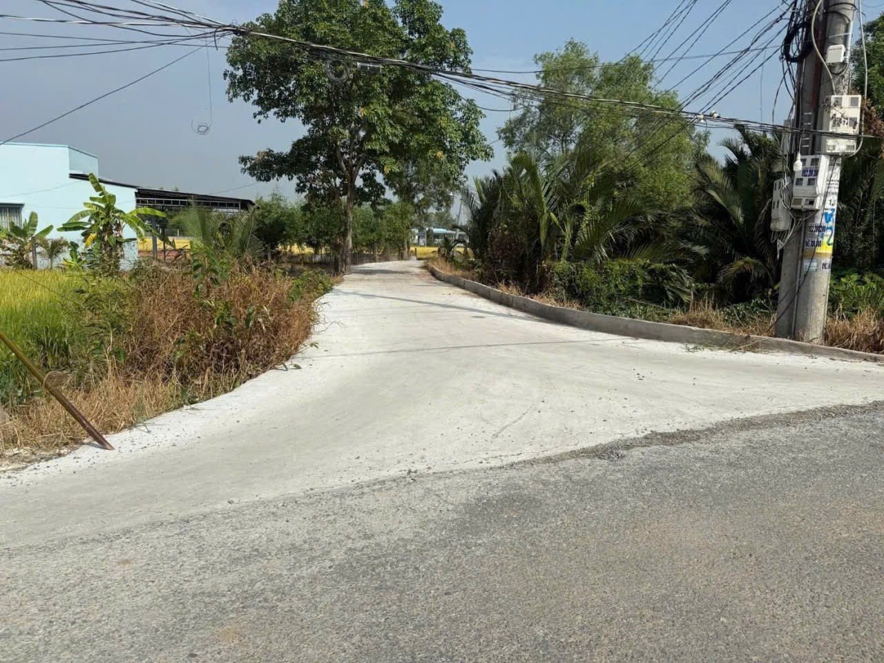 Bán đất vườn xã Tân Bửu , Bến Lức , Long An dt 5000m2 giá 16,5 tỷ 3