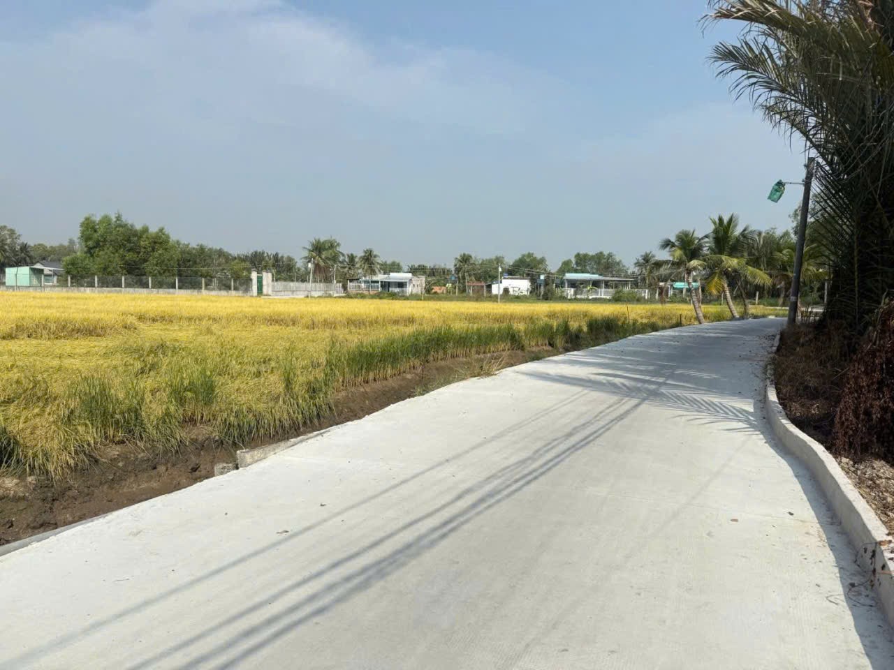 Bán đất vườn xã Tân Bửu , Bến Lức , Long An dt 5000m2 giá 16,5 tỷ 4