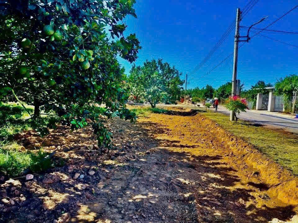 Cần bán Đất đường Trừ Văn Thố, Xã Trừ Văn Thố, Diện tích 250m², Giá Thương lượng 2