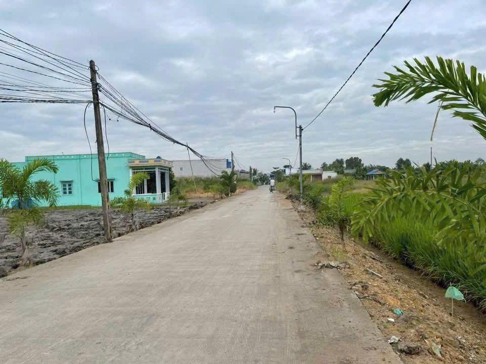 Hàng F0 mới ra lò 210m2 mt xe hơi xã Tân Lân giá đầu tư 980tr 2