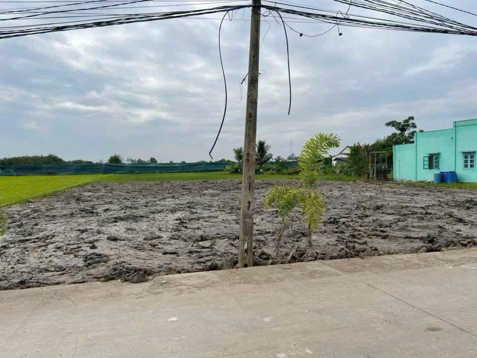 Hàng F0 mới ra lò 210m2 mt xe hơi xã Tân Lân giá đầu tư 980tr 3