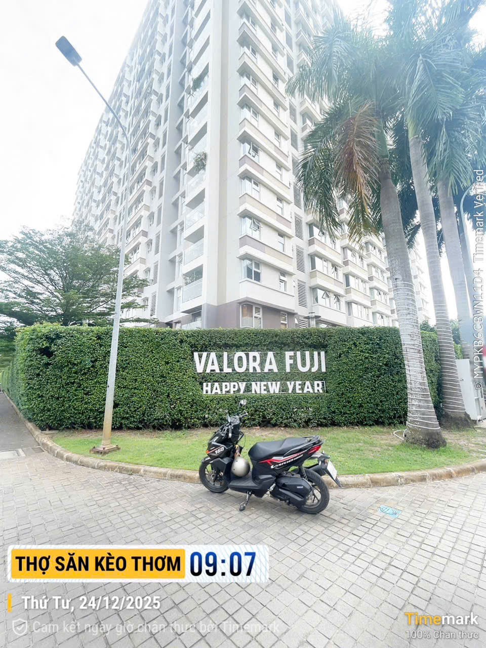 Cần bán Đất Phường Thạnh Mỹ Lợi, Quận 2, Diện tích 247m², Giá Thương lượng 5