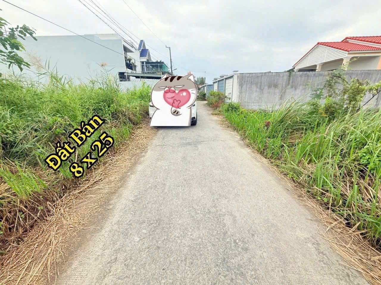 Bán đất thổ cư đường beton 4m  xã Phước Lợi , Bến Lức dt 200m2 hướng đông nam giá 2,1 tỷ 2