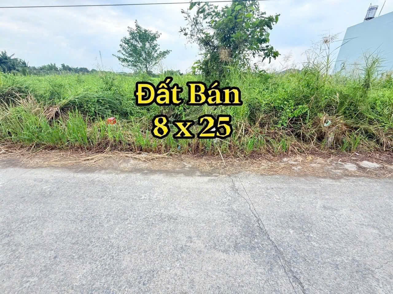 Bán đất thổ cư đường beton 4m  xã Phước Lợi , Bến Lức dt 200m2 hướng đông nam giá 2,1 tỷ 4