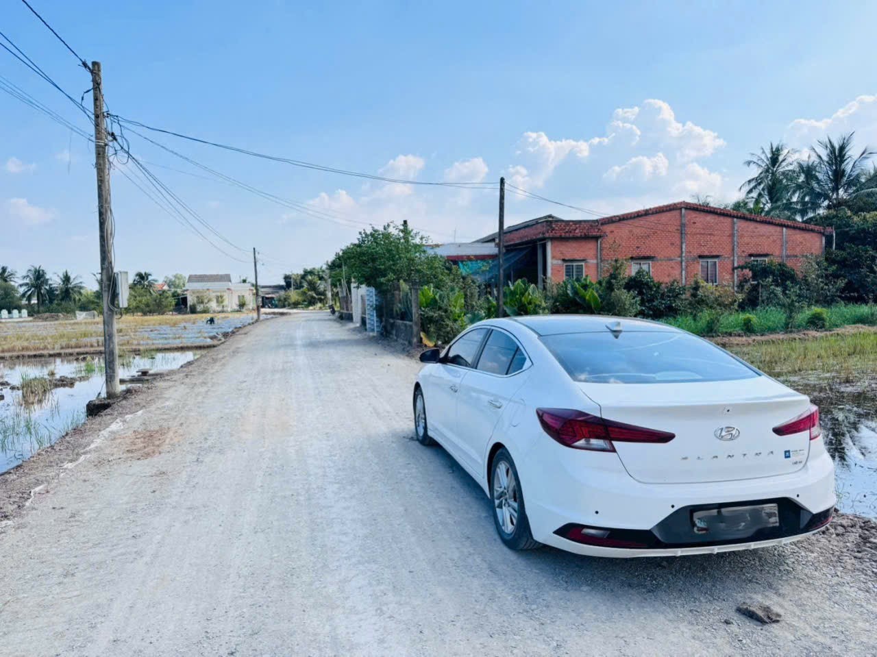 Bán đất thổ cư mt đường beton Trần Văn Lợi , xã Bình Trinh Đông , Tân Trụ dt 150m2 giá 590 triệu 3