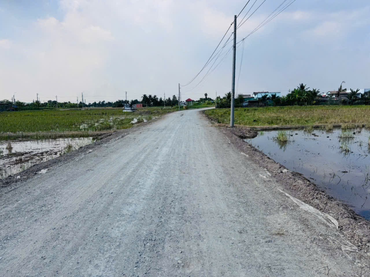 Bán đất thổ cư mt đường beton Trần Văn Lợi , xã Bình Trinh Đông , Tân Trụ dt 150m2 giá 590 triệu 4