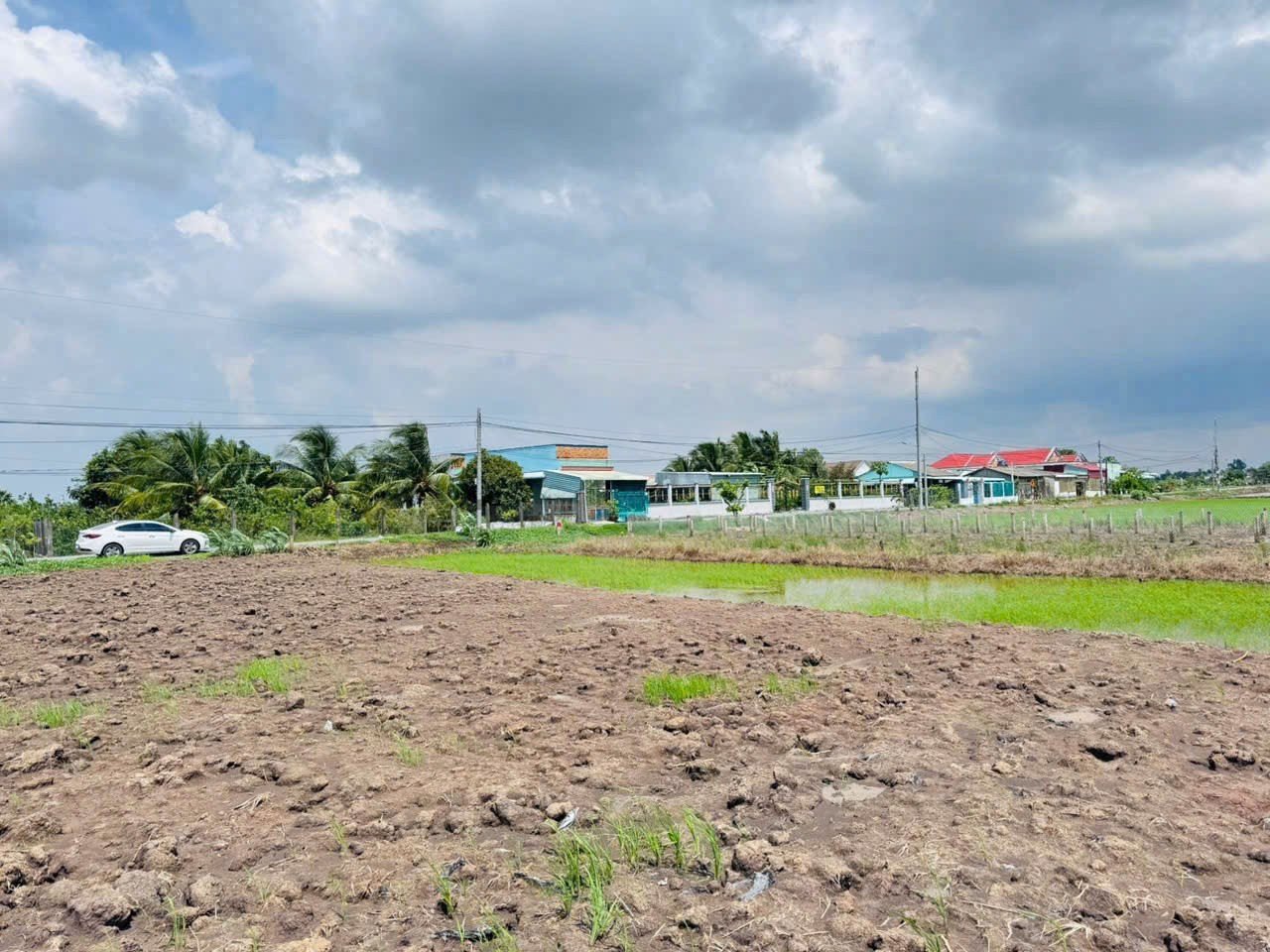 Bán 2 lô thổ cư mt đường Nguyễn Thị Lầu, xã Quê Mỹ Thạnh, Tân Trụ dt 199m2 giá 950 triệu 1 lô 6