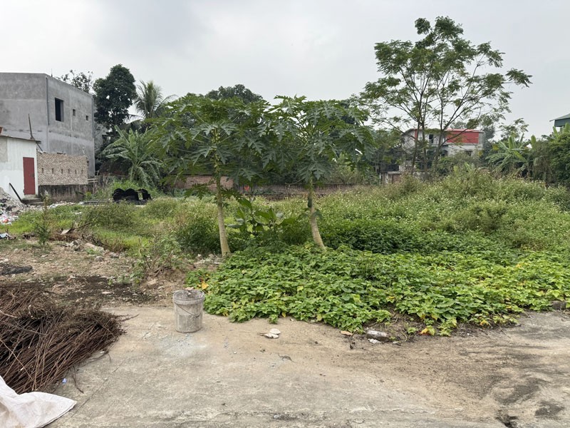 Chính chủ bán 76,7m2 đất đấu giá Chi Đông, Thuận An. Đoạn trước đất đường rộng 8m 6