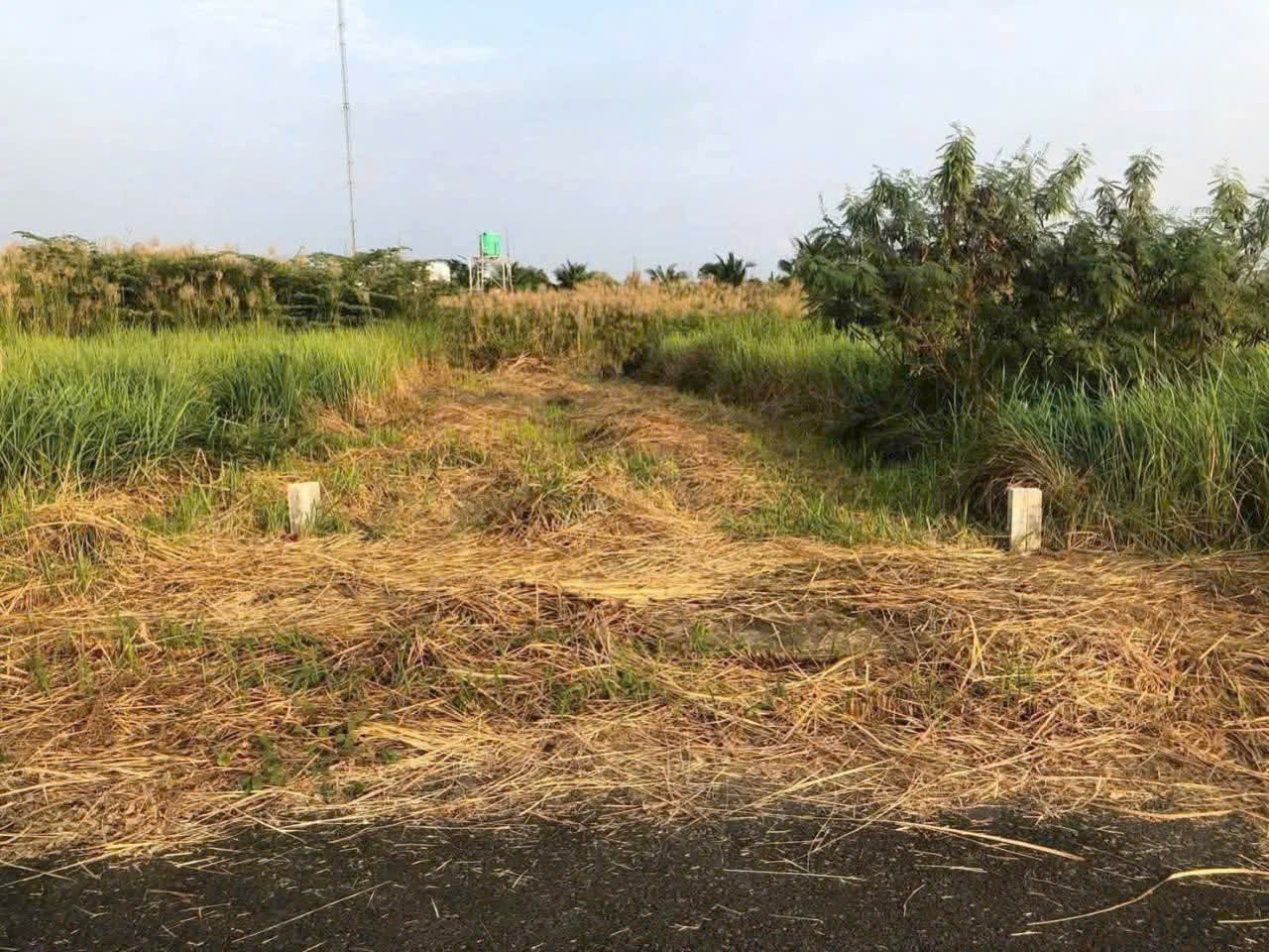 Nền đất ngộp 95m2 kdc Nam Phong Ecotown bán lỗ vốn 790tr 3