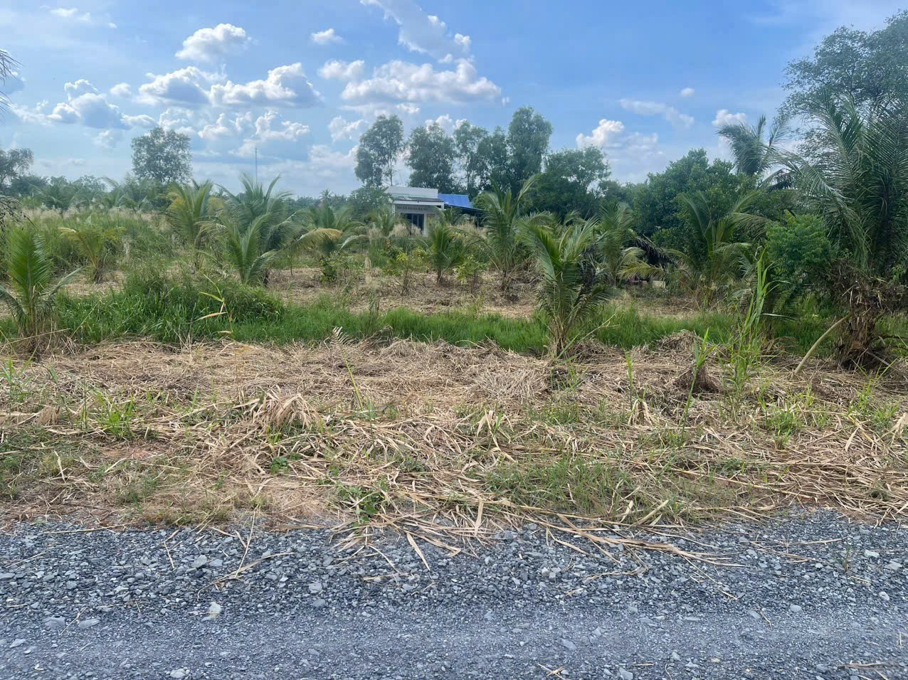 Bán đất mt sông Vàm Cỏ Đông , xã Thạnh Lợi tdt 2833m2 ( có 300m2 thổ ) giá 5,3 tỷ 3