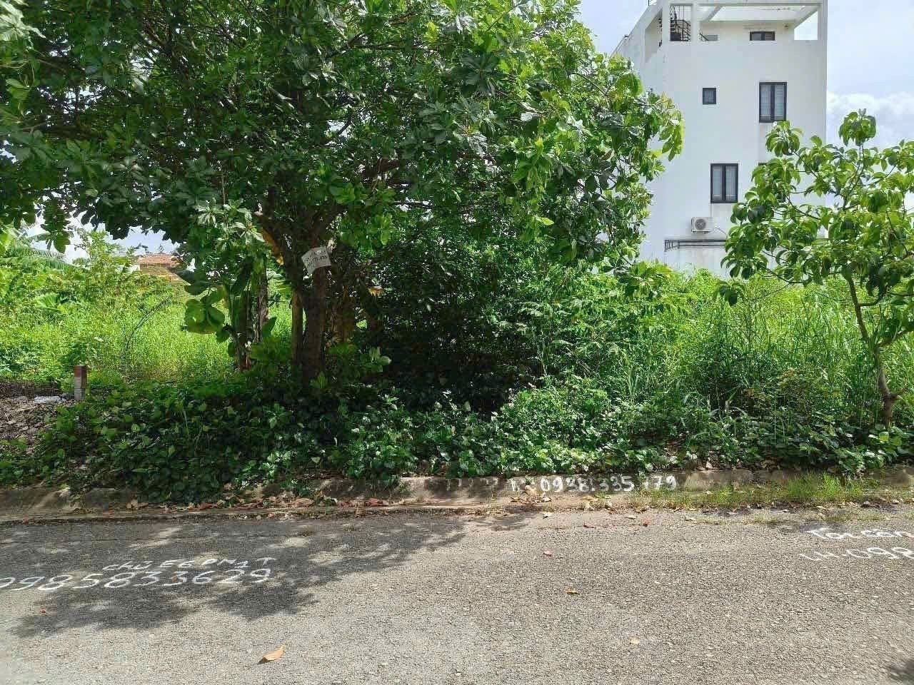 Cần bán Đất Phường Thạnh Mỹ Lợi, Quận 2, Diện tích 129m², Giá 20.7 Tỷ 5
