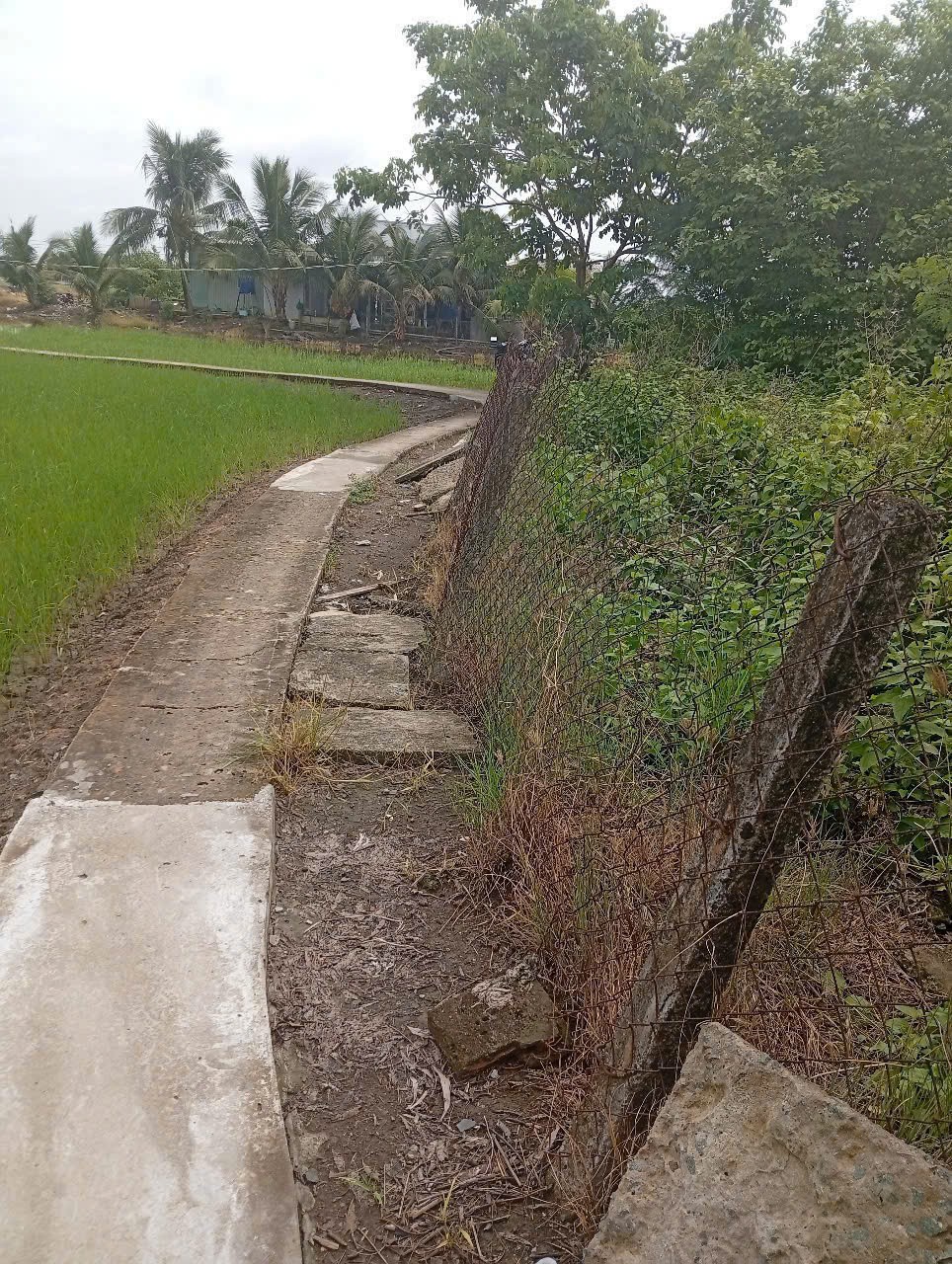 Đất vườn giá rẻ 500m2 mt xe máy xã Phước Đông 650tr 2
