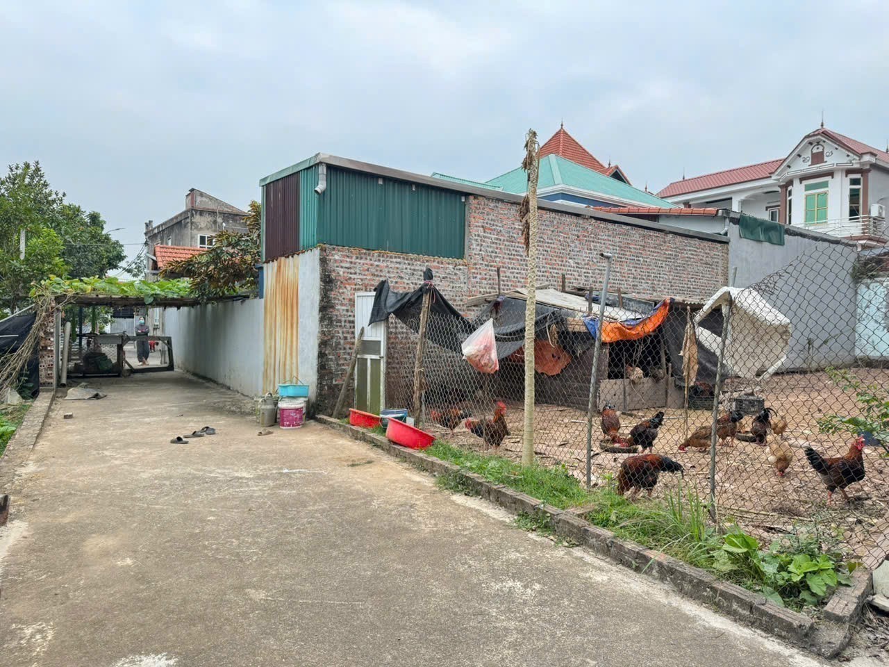 Bán nhanh 107m đất Hoàng Kim, Mê Linh. Ngay chân cầu Hồng Hà, đường Vành Đai 4